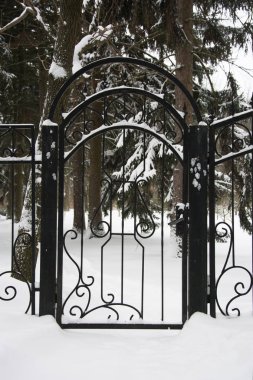 Demir, kışın kapısı kilitli. Kapı parkta kışın sıcak dövme