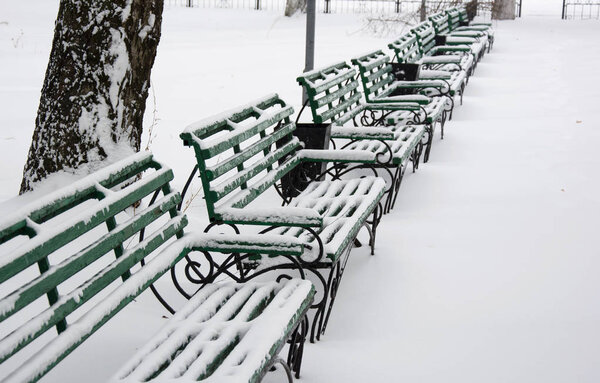 Green benches in a row covered with snow, side view