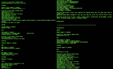 Bilgisayar komut satırı arabirimi. UNIX bash kabuğu. Web güvenliği