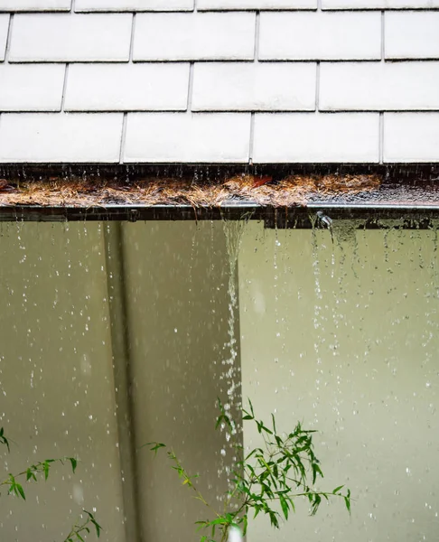 Close up on section of rain gutter clogged with leaves, debris on residential home during the rain