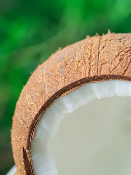 Makro aus Kokosnuss zur Hälfte auf grünem Hintergrund, Kokosnusstextur — Stockfoto
