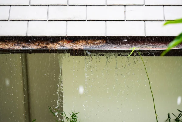 Closeup view on rain gutters clogged with leaves, sticks and debris from trees in the rain