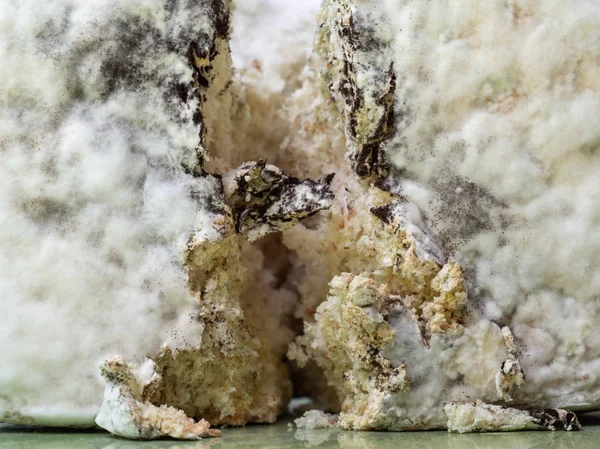 Μακροεντολή μούχλα και βακτηριακή αποικιών που αναπτύσσονται ψωμί ψωμί επιφάνειας και εσωτερικό — Φωτογραφία Αρχείου