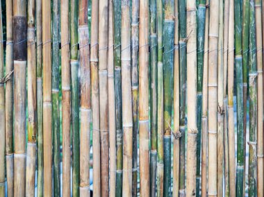 yeşil ve kahverengi renkler, doku, doğal desen bambu çit