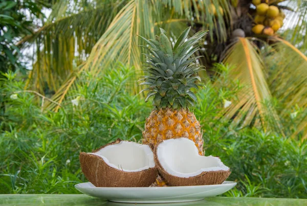 Geöffnete Kokosnuss auf Teller mit Ananas auf grünem Palmenhintergrund — Stockfoto