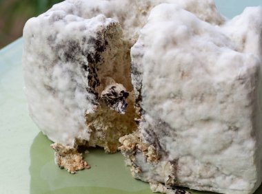 Ekmek ve içinde kalıp. Küf sporları, makro. Penisillium. Aspergillus