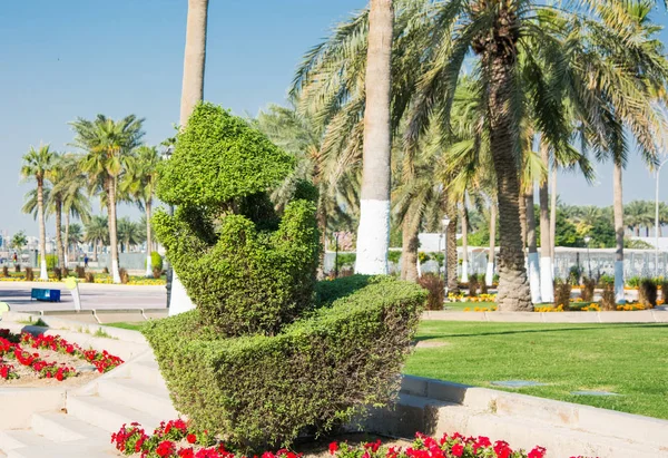 Decorated trimmed bush with palm tree at landscape of the garden