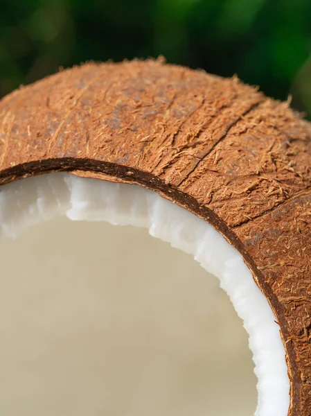 Макроснимок с открытой кокосовой, кокосовой текстурой — стоковое фото