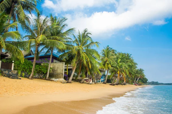 Gökyüzü altında hindistan cevizi avuç içi ile Uzun Samui Maenam sabah plaj. Mutlu tatil, dinlenme, pastoral manzara