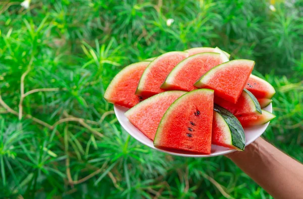 Closeup shot of sliced red watermelon on a plate, copy space — Stock Photo, Image