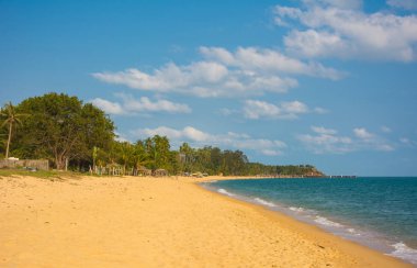 Koh Samui Hindistan cevizi palmiye ağaçları ve altın kum ile tropikal plaj