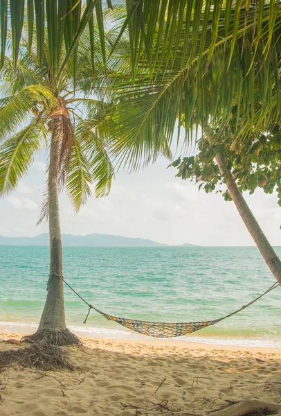 Rede vazia à sombra de palmeiras na praia tropical. Férias e relaxar — Fotografia de Stock