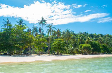 Berrak mavi gökyüzü altında palmiye ağaçları ile Tropikal plaj