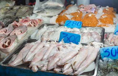 Tay pazarında büyük taze kalamar, balık biftek ve diğer deniz ürünleri