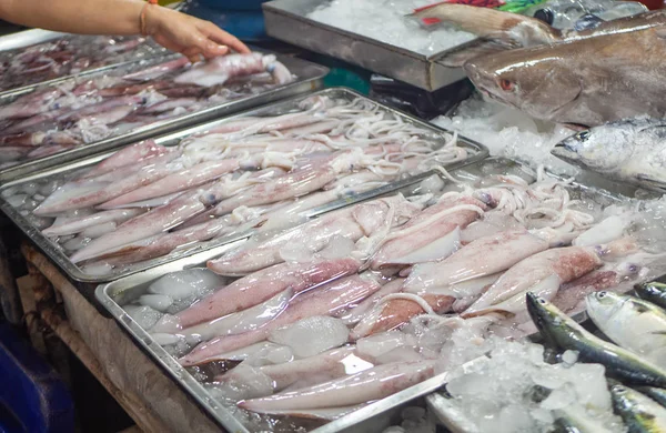 Fresh squids in ice at thai seafood market — Stock Photo, Image