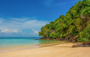 vahşi tropikal plaj