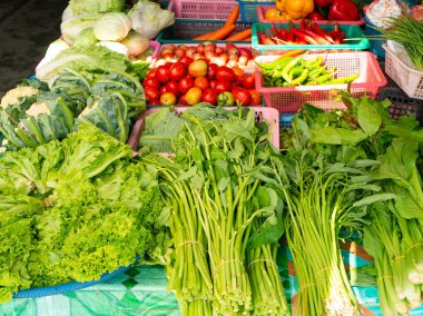 Taze tayland manav - ıspanak, marul, domates, karnabahar, şili, havuç, çin lahanası