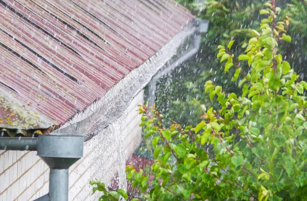 Close up of old gutter full of rain water