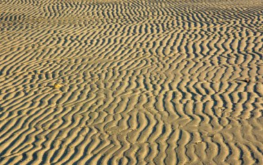 Sahilde kum dalgası arka plan