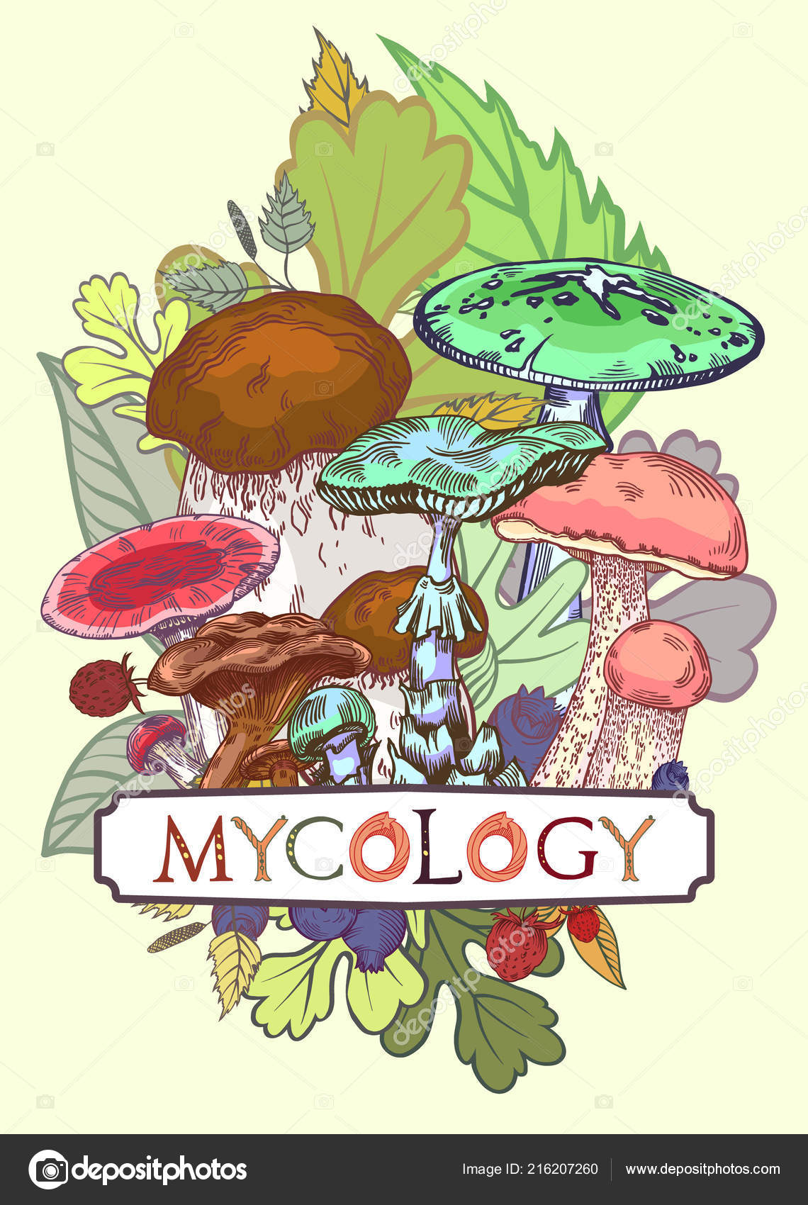 Ilustración Cubierta Micología Con Hojas Bayas Estilo Grabado