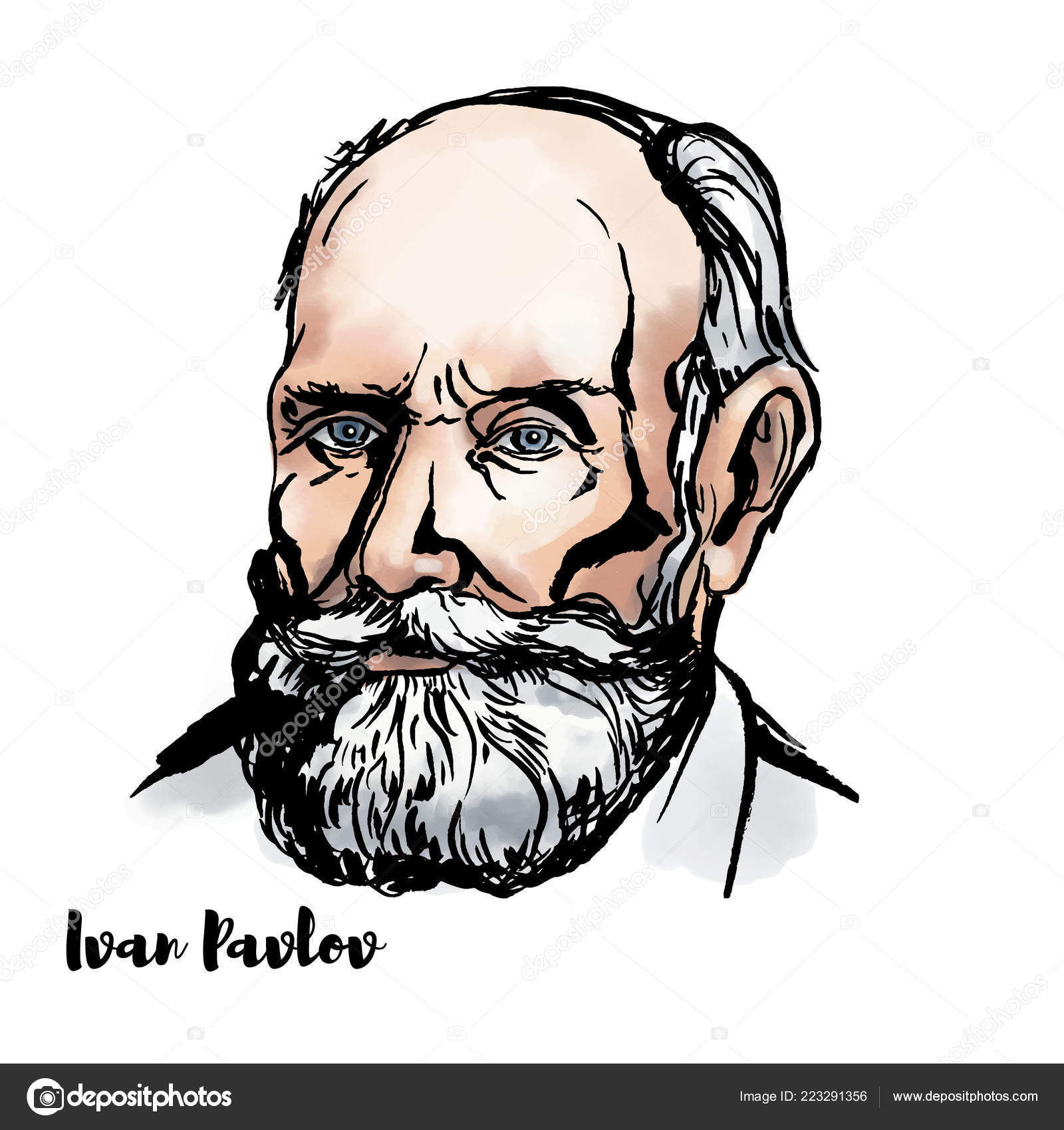 知的ストックベクター ロイヤリティフリー知的イラスト Depositphotos