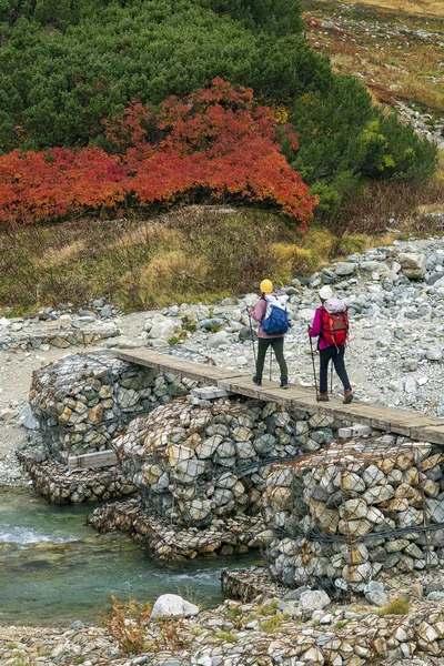 Ein paar Mädchen wandern über die Brücke eines Gebirgsflusses. — Stockfoto