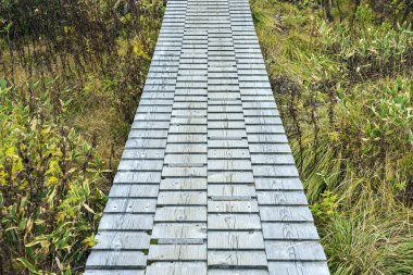 Ahşap Tahtalardan Yapılmış Boardwalk.