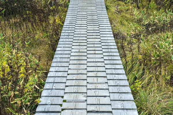 Ahşap Tahtalardan Yapılmış Boardwalk.