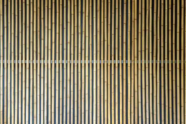 Textura da parede de bambu amarelo . — Fotografia de Stock