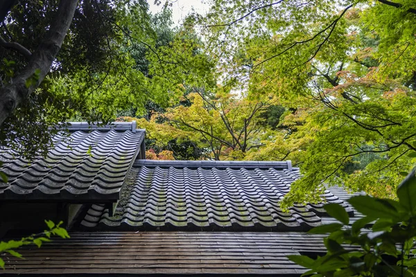Traditional Black Roof Tiles and Green Forest.
