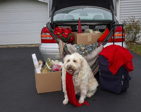 Getting Ready Travel Christmas Holidays Concept Image Trunk Car Being — Stock Photo, Image