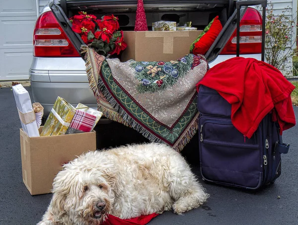 Getting Ready Travel Christmas Holidays Concept Image Trunk Car Being — Stock Photo, Image