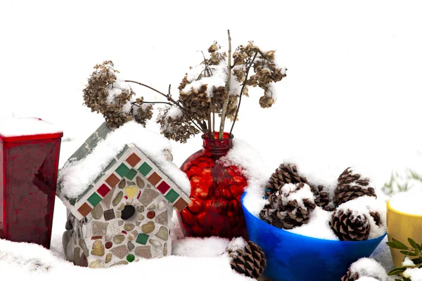 Colorful Vases Containers Filled Either Birdseed Pinecones Covered Snow Winter — Stockfoto