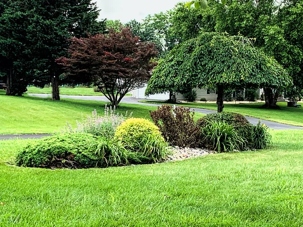 Imagen Paisaje Isla Frente Casa Con Plantas Llanto Cerezo Forma — Foto de Stock