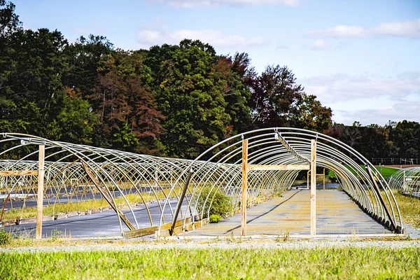 Vivaio Piante Che Utilizzano Sistemi Irrigazione Mantenerli Innaffiati Sani Prepararli — Foto Stock