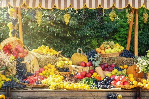 Sonbahar sezon tarım Pazar adil göstermek. Canlı meyve ve sebze sonbahar dekorasyon - görüntü için eski ahşap sepeti