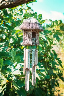 Ağaç - görüntü dalda asılı ahşap kuş evi