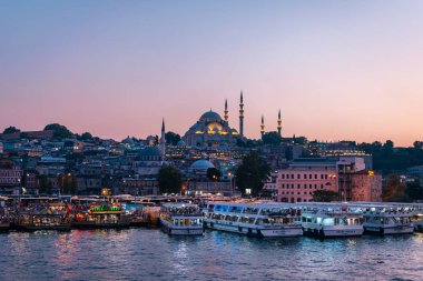 Istanbul altın boynuz defne görünümü. Arka planda büyük Süleymaniye Camii