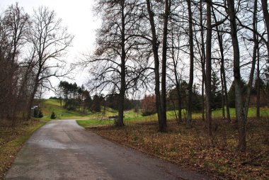 Botanik bahçesinde ki yol, Vilnius, Litvanya