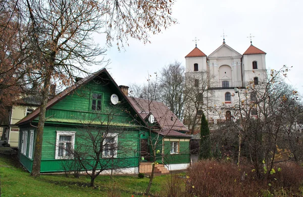 一个古老的大教堂后 绿色的房子 特拉凯 立陶宛 — 图库照片
