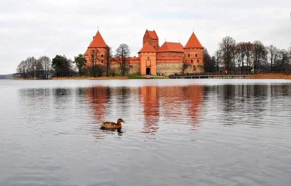 Trakai Vecchio Castello Anatra — Foto Stock