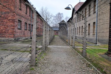 Auschwitz-Birkenau toplama kampı, Polonya çift çit