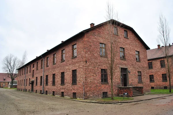 Blocco Carcerario Nel Museo Auschwitz Birkenau Polonia — Foto Stock