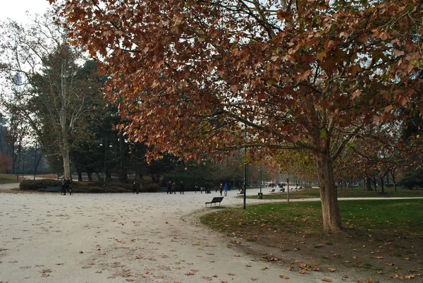 Parc Urbain Hiver Milan Italie — Photo