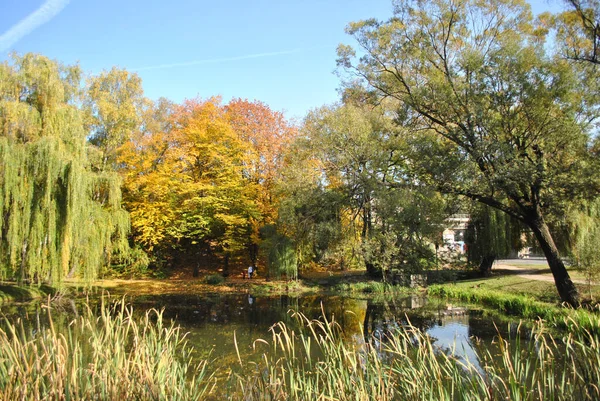 Estanque Otoño Kiev Ucrania — Foto de Stock