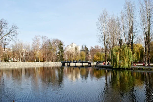 Pond City Park Ukraine — Stock Photo, Image
