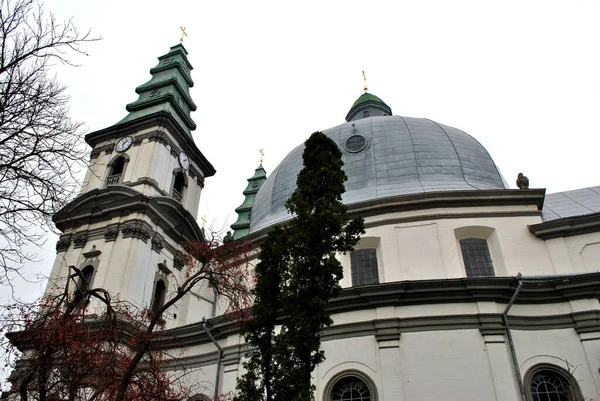 Куполи Собору Тернополі Україна — стокове фото