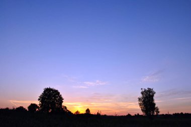 Ormanın üzerinde güzel bir günbatımı. doğa arkaplanı