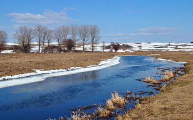 Ukrayna 'da güneşli bir bahar günü