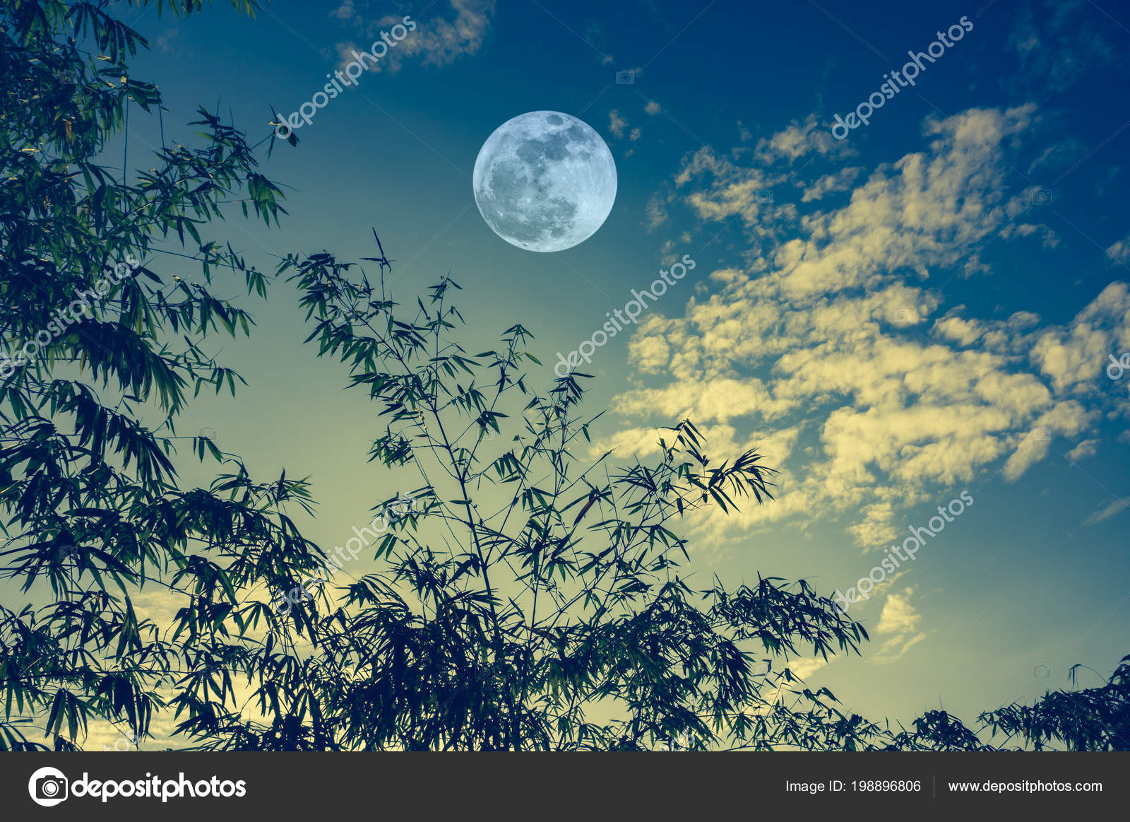 Landscape Sky Bright Full Moon Bamboo Trees Evening Serenity Nature Stock Photo Image By C Kdshutterman 198896806